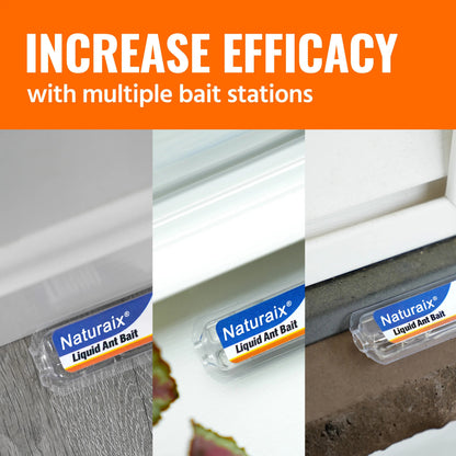 Whole-Home Liquid Ant Bait Stations